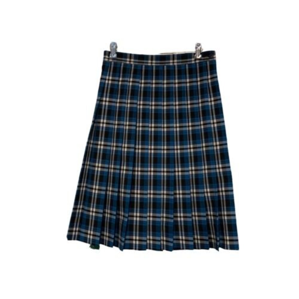Vintage Dennis Girls Pleated Skirt Size 18 Side Zip Elastic Back Plaid USA Poly